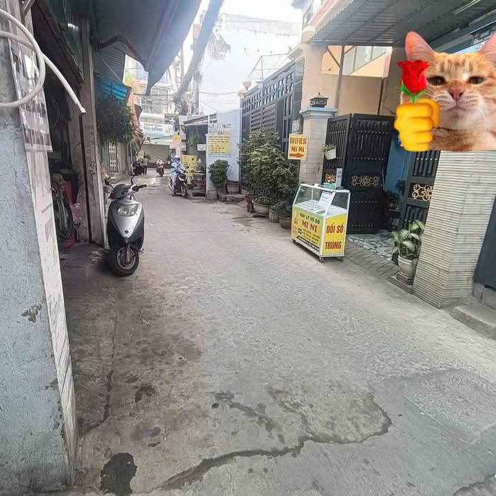 Nhà nguyên căn Quận 7 64m² giá 7.5 triệu – Ô tô vào tận nhà!