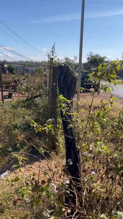 Đất nền chính chủ tại làng Ring Răng, Chư Sê 370m² giá 370 triệu - Cơ hội đầu tư hấp dẫn!