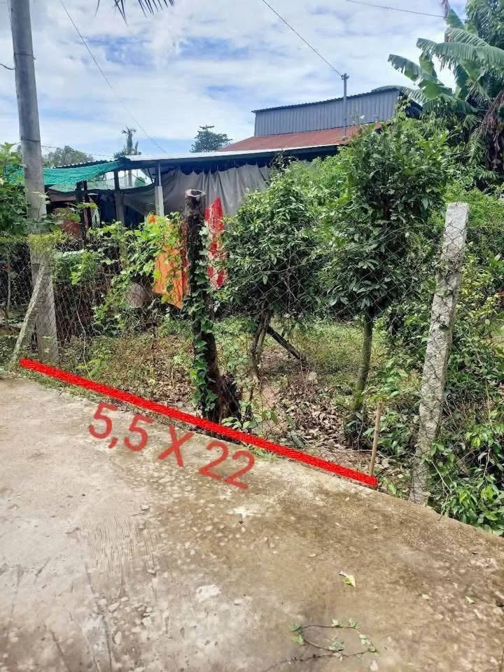 Đất nền Chợ Mới An Giang 108m² 360 triệu - Sổ đỏ chính chủ!