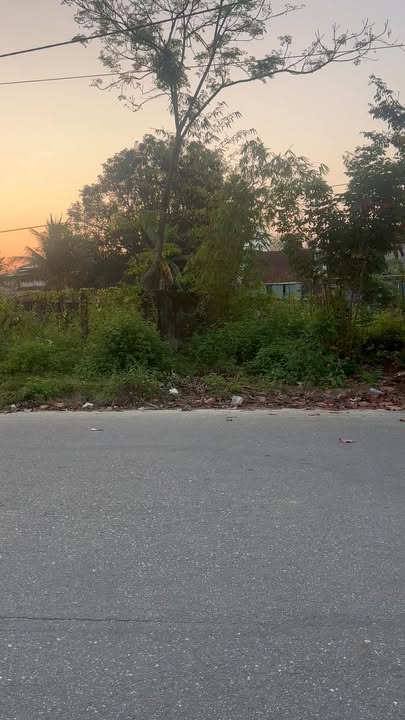 Bán Gấp 2 Lô Liền Kề Hội An 424m² - Lý Tưởng Làm Nhà Vườn, Biệt Thự