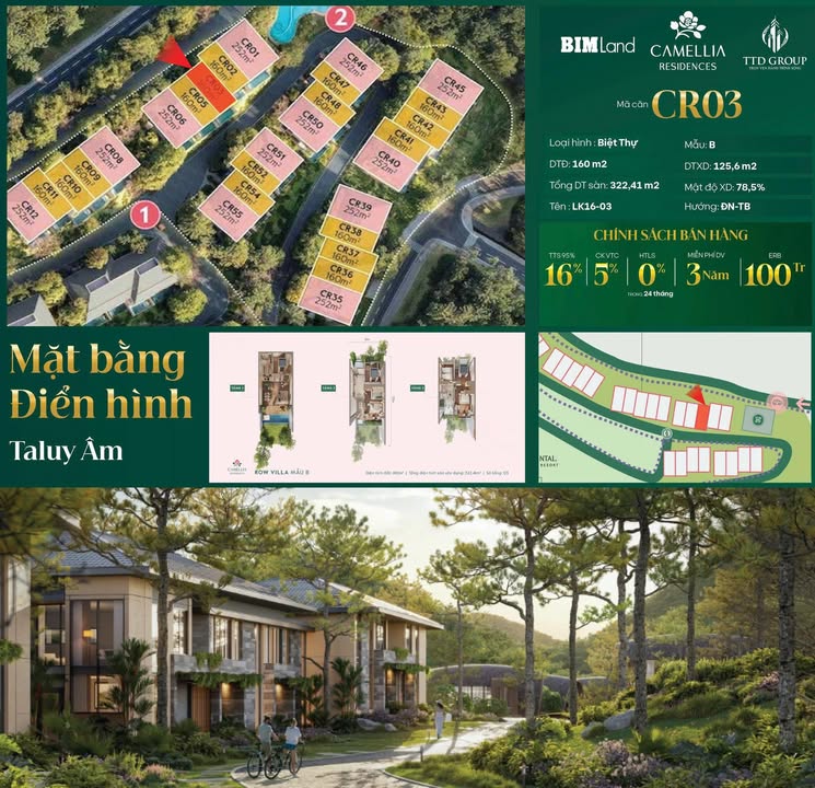 Biệt thự Camellia Residences 160m² - An trú giữa rừng thông cổ thụ