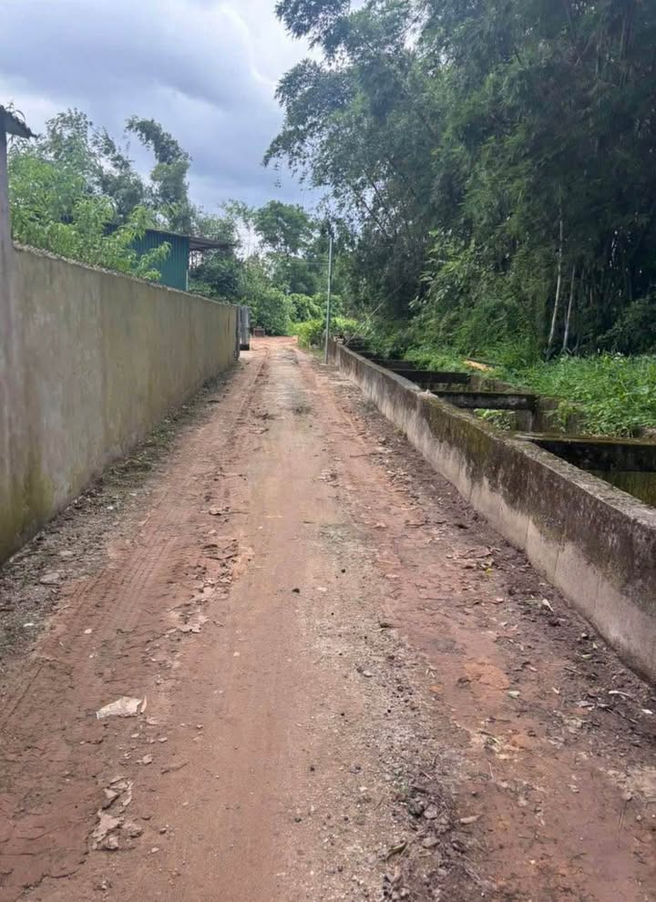 Đất nền Hải Xuân 135m² chỉ 1 tỷ - Sổ đỏ chính chủ, đường thông ô tô!