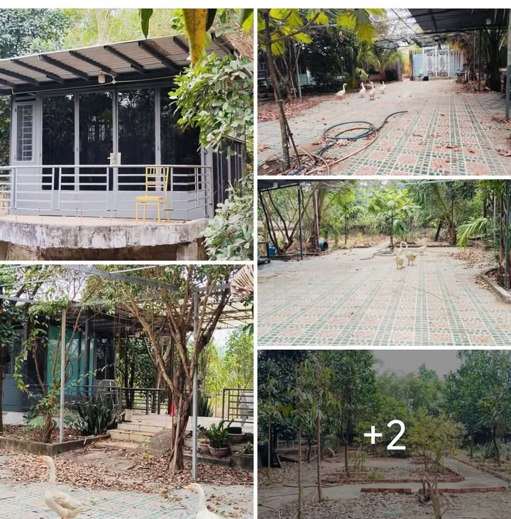 Đất vườn Bình Mỹ Củ Chi 840m² giá 3.05 tỷ - Nghỉ dưỡng lý tưởng!