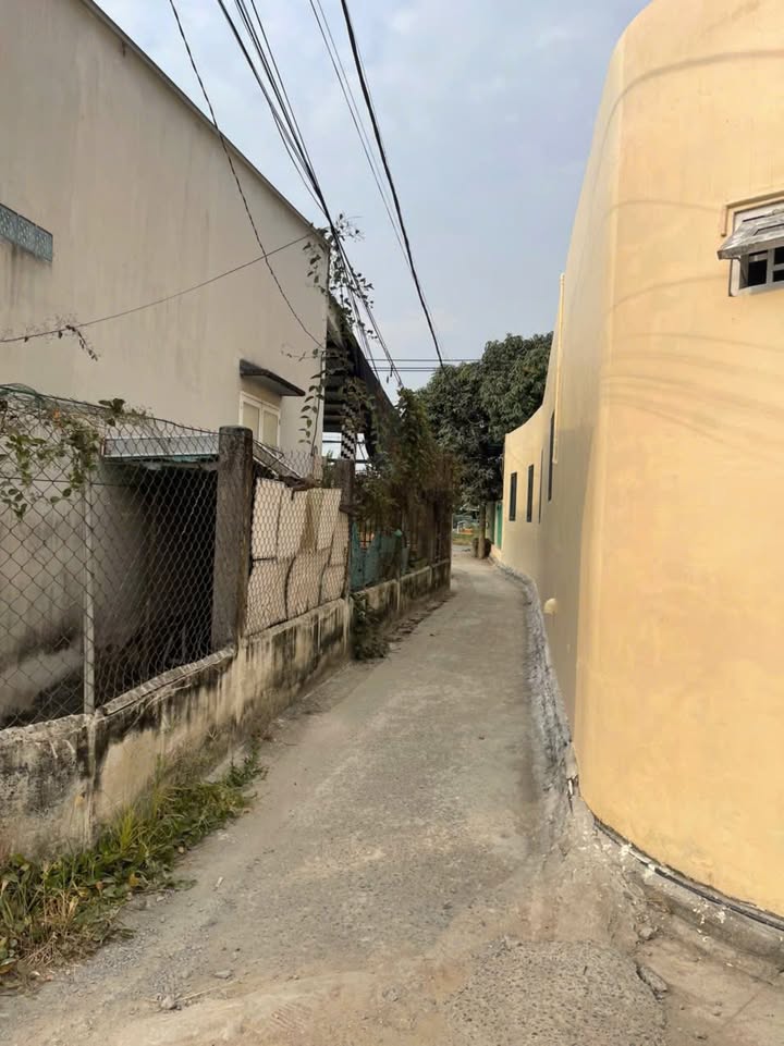 Nhà riêng Tân Nhựt Bình Chánh 196m² 2.65 tỷ - Chính chủ bán!