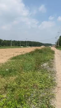 Đất Vườn Bình Chánh 1.4ha 72.8 Tỷ - Đầu Tư Dài Hạn Mặt Tiền Vành Đai 3