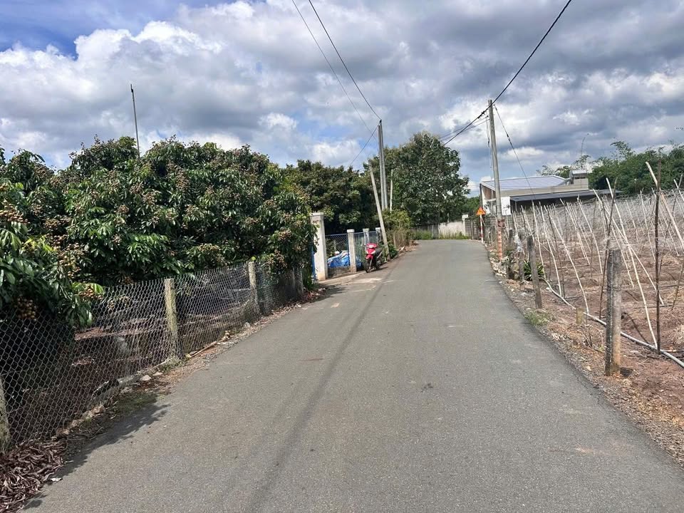 Đất vườn Hòa Hội, Xuyên Mộc 1000m² - Sinh thái xanh