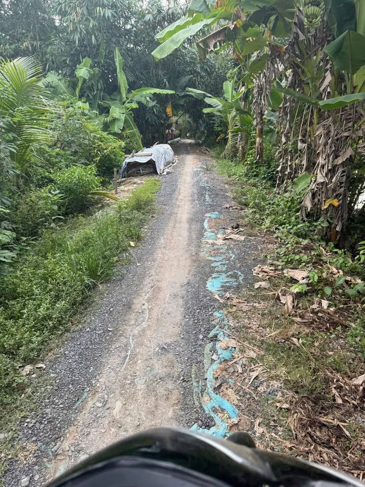 Đất nền Mỹ Thọ Cao Lãnh 3200m² – Tiềm năng tăng giá vượt trội!