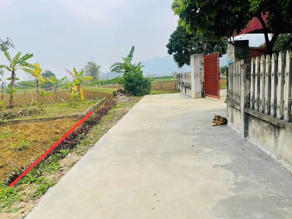 Đất thổ cư Yên Thủy 230m² giá 400 triệu - Sổ hồng chính chủ!