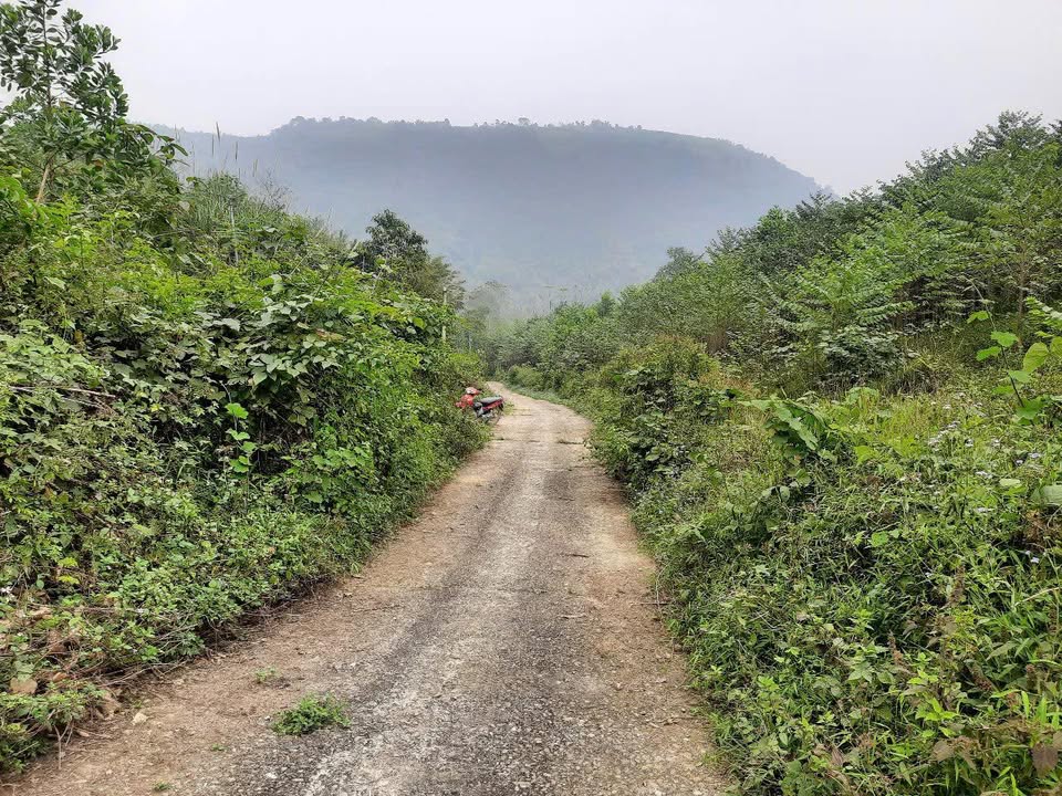 Đất Rừng Sản Xuất Mông Hóa, TP Hòa Bình 7600m² - Cơ Hội Đầu Tư Dài Hạn!