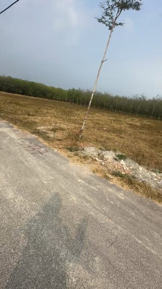 Đất Nền Chánh Phú Hòa, Bến Cát - 340m² Sổ Đỏ, Giá 1.35 Tỷ - Xây Vườn, Kho Đều Tiện