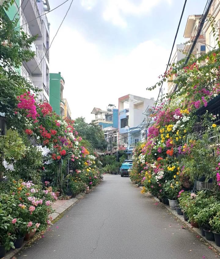 Nhà riêng Louis City Đại Mỗ 39m² giá 6 tỷ - Sẵn sàng vào ở ngay!