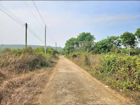 Đất nền Thanh Phú, Bình Long 200m² 100 triệu - Đường ô tô