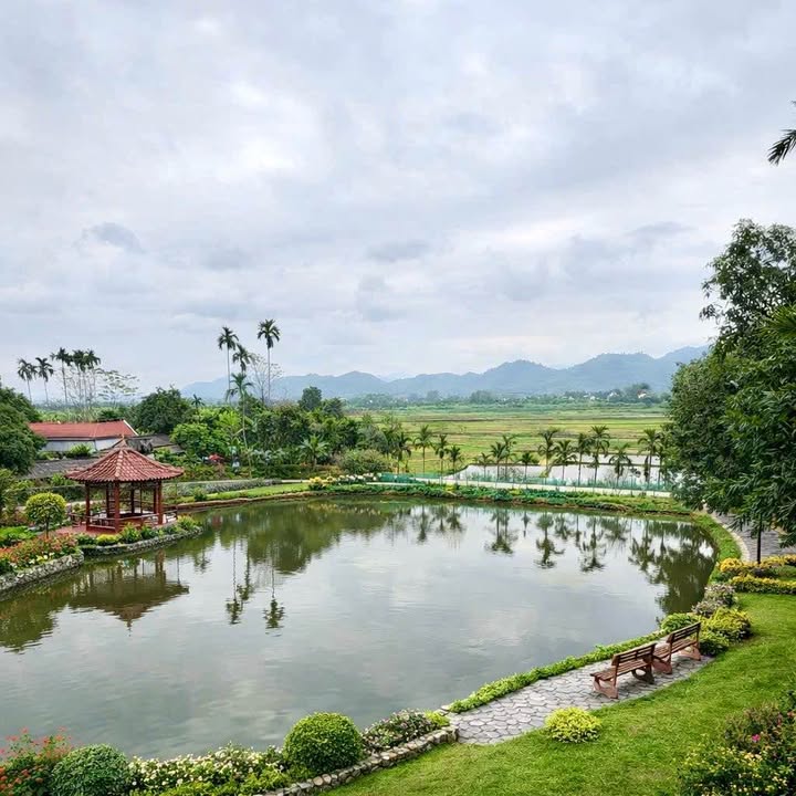 Đất thổ cư 1200m² tại Đan Thượng, Phú Thọ - Giá chỉ 1 tỷ, đầu tư sinh lời ngay!