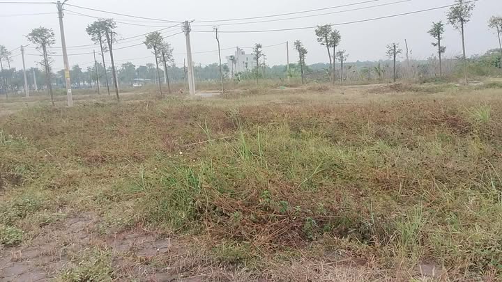 Đất nền Xã Tam Đồng, Huyện Mê Linh 96m² giá 6.72 tỷ - Cơ hội đầu tư hấp dẫn!