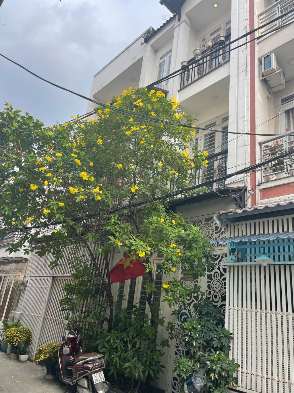 Nhà phố Tân Phú 36m² - Xe hơi đậu cửa, sổ hồng sẵn!