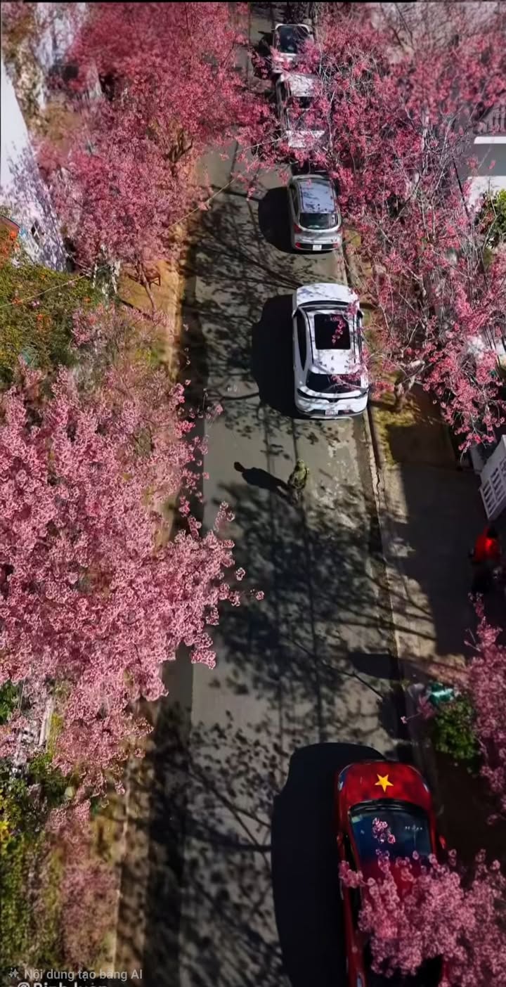 Bán Khách Sạn Mặt Tiền Đà Lạt - 250m² - 23.5 Tỷ - View Rừng Thông