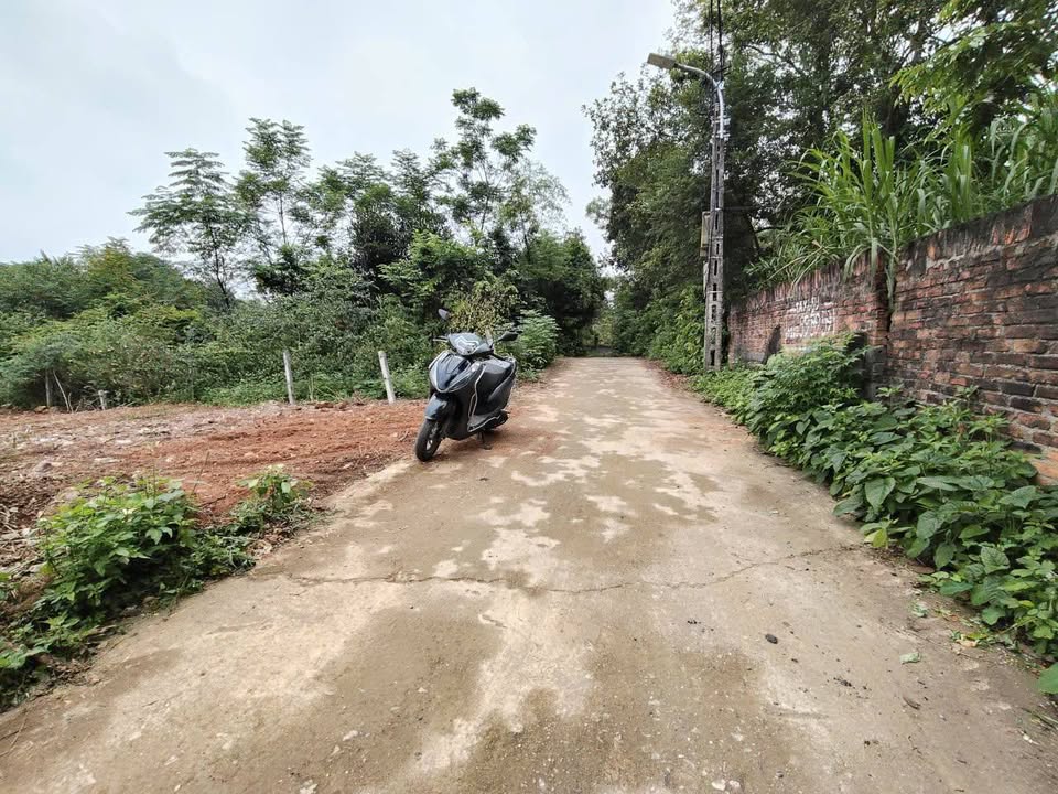 Đất nền An Hòa Tam Dương 138.5m² - Sổ đỏ chính chủ, giá tốt!