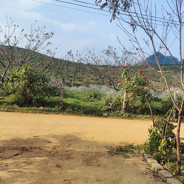 Đất nền Mộc Châu 1100m² giá 1.7 tỷ - Sổ đỏ chính chủ, view chè thoáng!