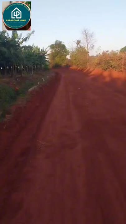 Vườn Ia Boòng, Chư Prông 5ha – Sinh lời bền vững, đầu tư dài hạn!