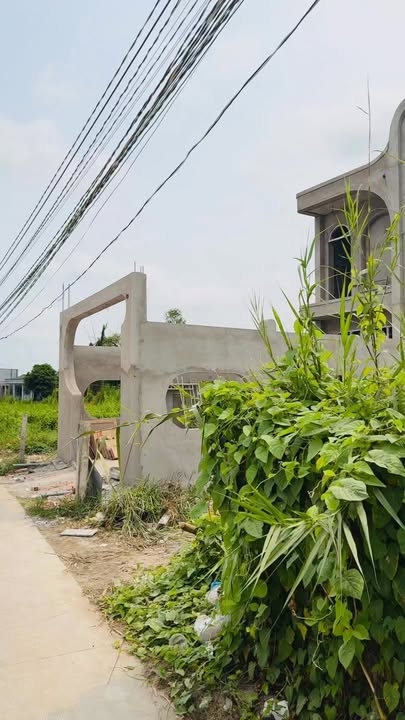 Đất Thổ Cư Sổ Hồng Riêng 153m² Gần QL50, Long An - Giá 1.35 Tỷ