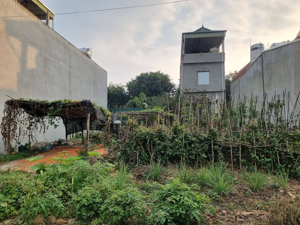 Đất nền Nguyễn Tuân, Lào Cai 200m² - Sổ đỏ sẵn sàng, giá đầu tư 1.5x tỷ