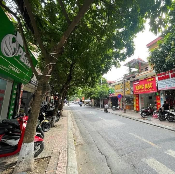 Đất nền Phố Sài Đồng, Long Biên 202m² - Tiềm năng tăng giá vượt trội!
