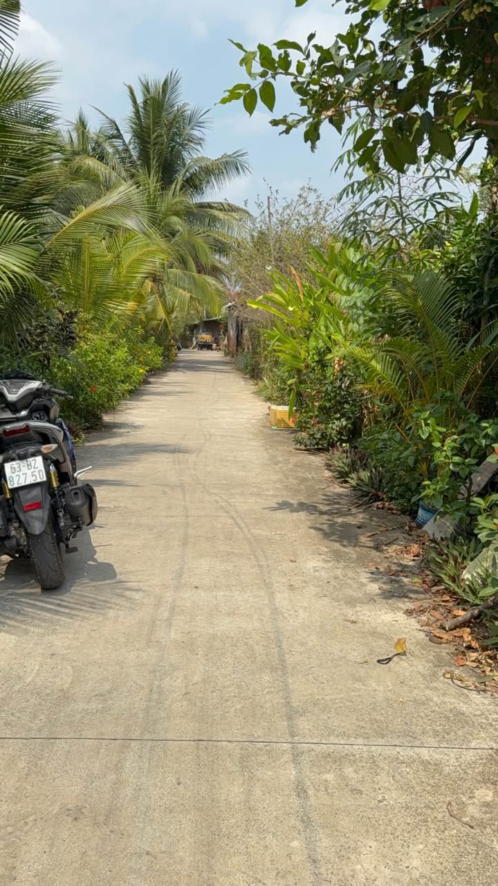 Đất nền Nhị Mỹ, Cai Lậy 350m² - Tiềm năng tăng giá vượt trội!