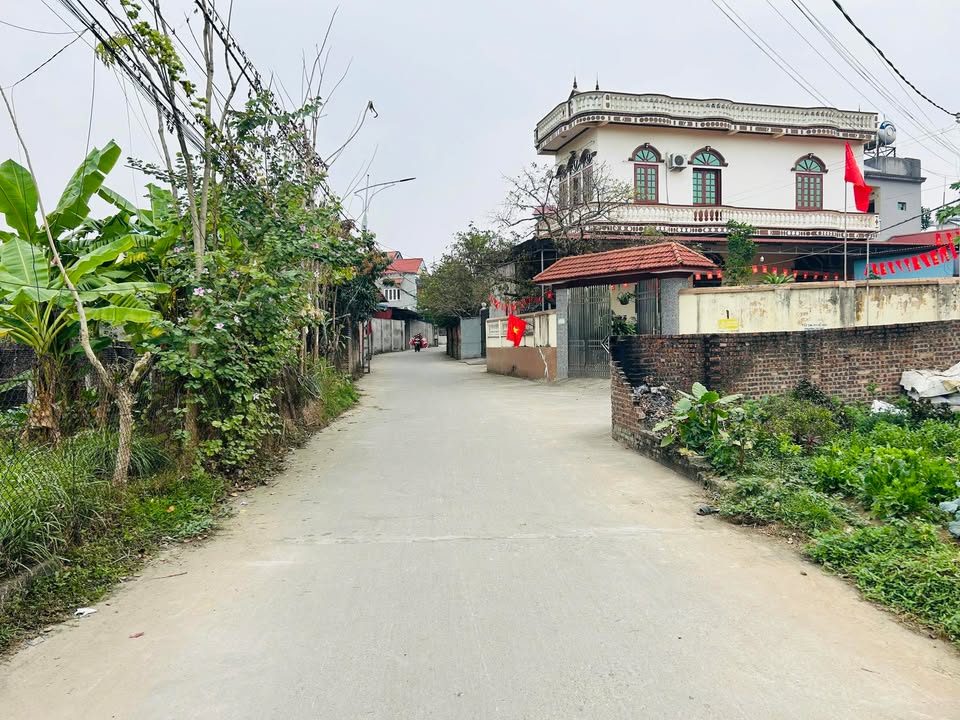 Đất nền Việt Yên, Bắc Giang 100m² - Tiềm năng tăng giá!