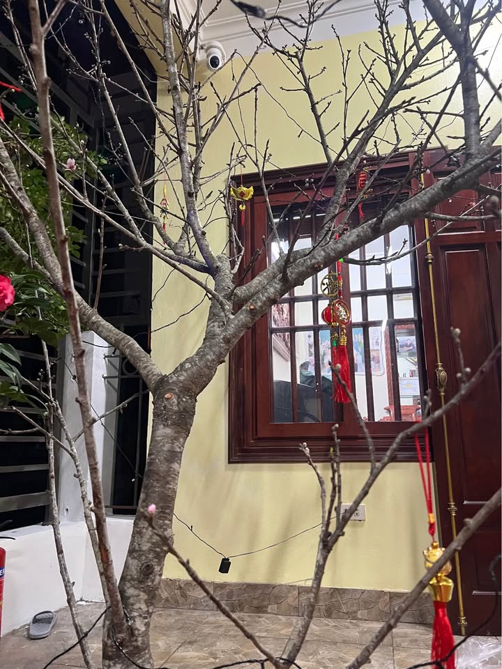 Bán Gấp Đất Vàng 88m² Đường Thiện Tân, Ninh Bình - Sổ Đỏ Sẵn Sàng