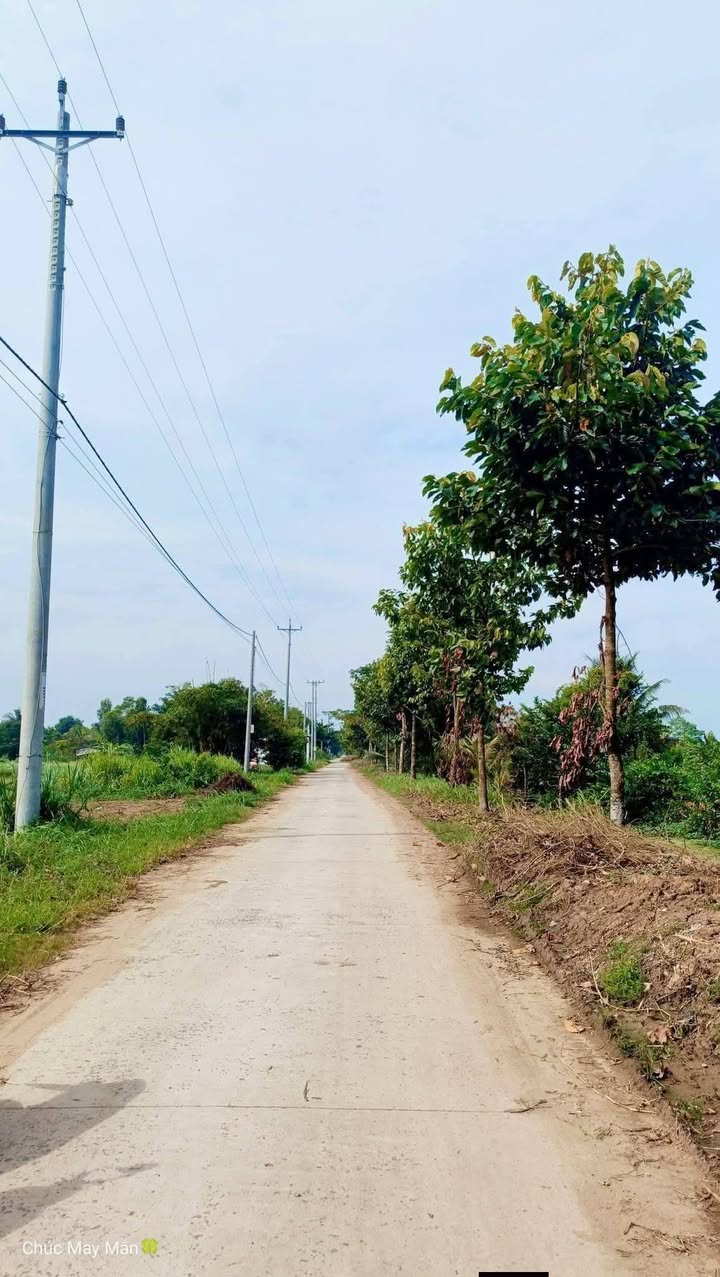 Đất Vườn Bến Tre 1100m² Giá 1.15 Tỷ - Sổ Hồng Sẵn Sàng