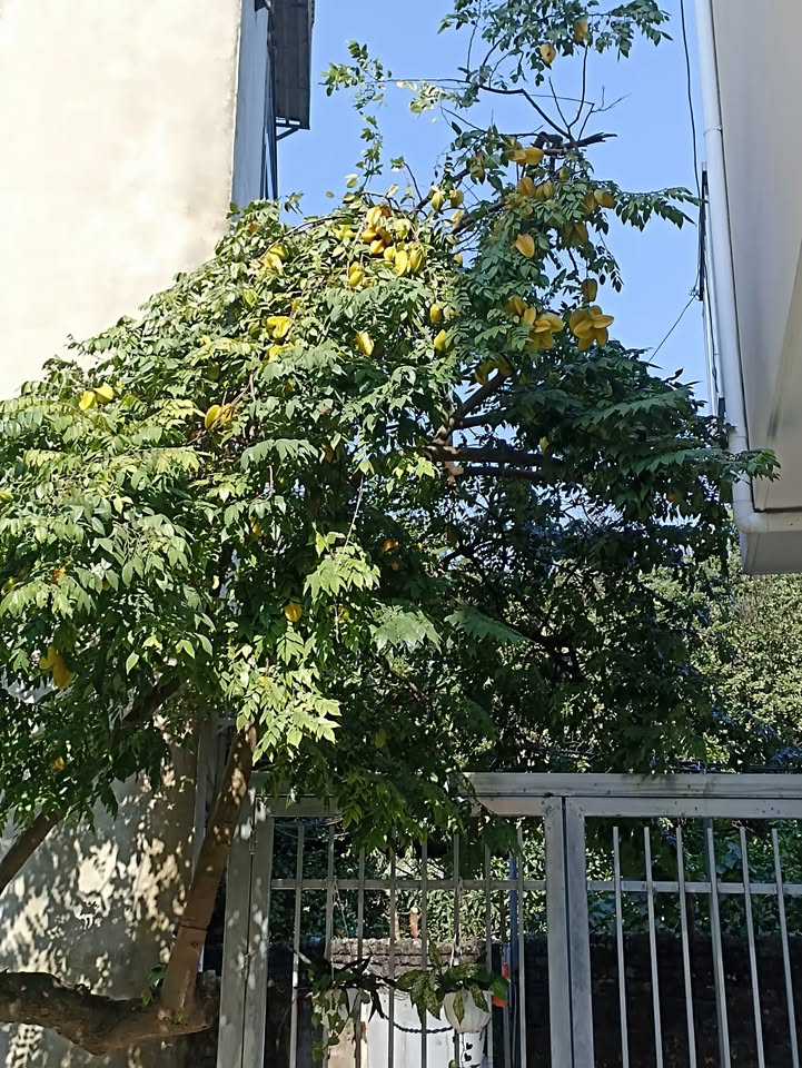 Phòng Trọ Giá Tốt Nguyễn Khoái, Hoàng Mai - Sẵn Sàng Ở Ngay