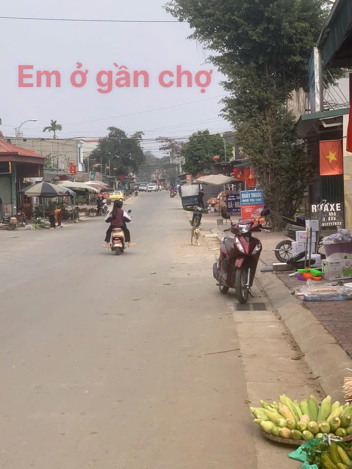 Đất nền Tuyên Quang 145m² - Ngay ngã tư, sổ sẵn, giá 850 triệu