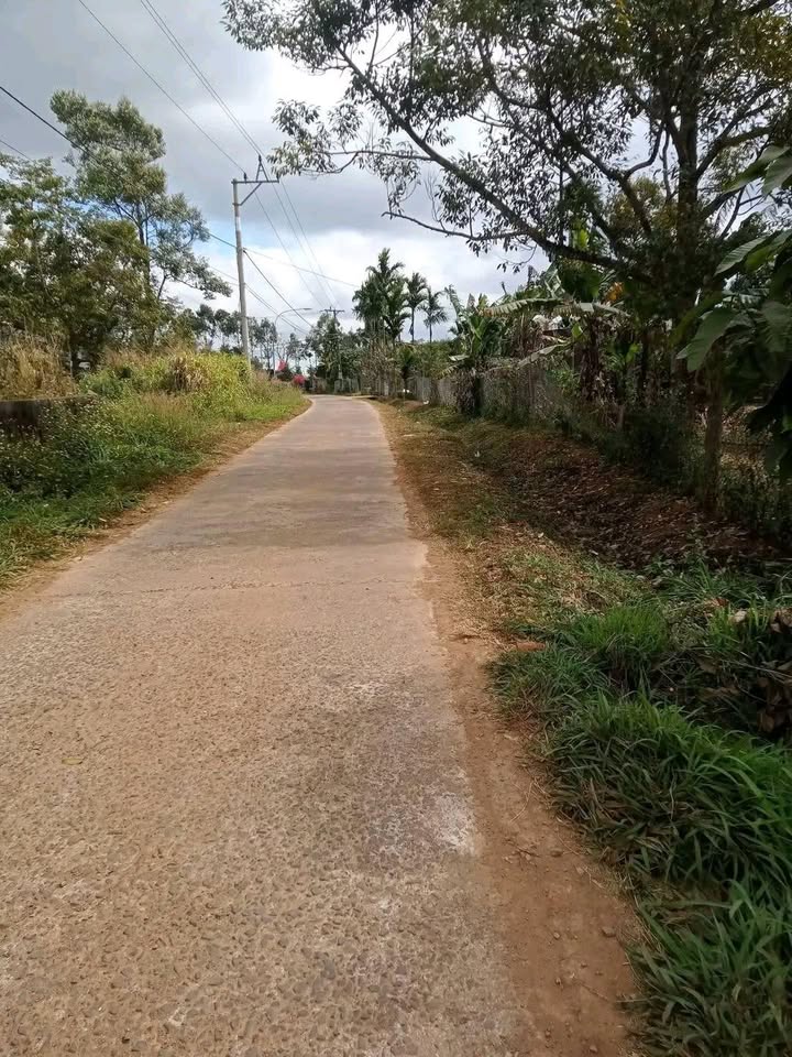 Đất nền Huyện Tuy Đức 533m² - Đất thổ cư 100%