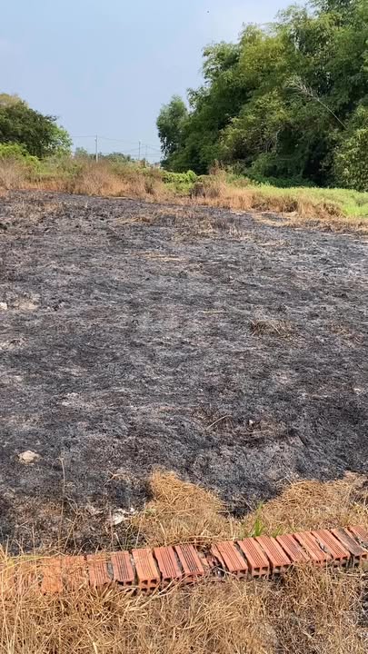 Bán Gấp Đất Thổ Cư 510m² Đức Hòa Long An - Giá Đầu Tư 850 Triệu