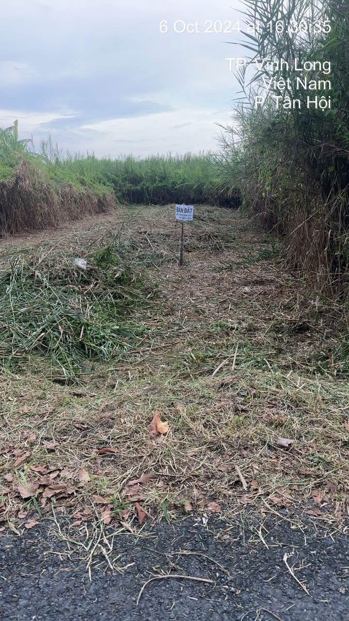 Đất nền Tân Hội, Vĩnh Long 130m² - Tiềm năng tăng giá vượt trội!