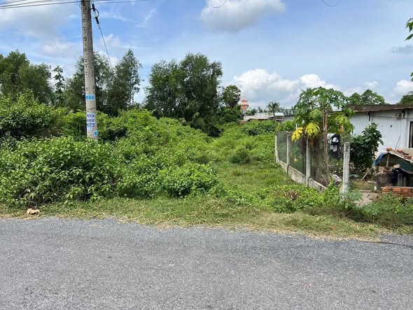 Đất Nền Mặt Tiền Đường Nhựa, Gần KCN Hiệp Thạnh - Gò Dầu, Tây Ninh - 1.3 Tỷ
