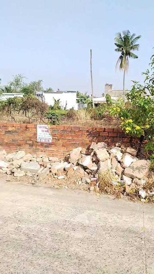 Đất Vườn Long Thọ, Nhơn Trạch 1043m² - Sổ Hồng Riêng, Giá Đầu Tư Hấp Dẫn