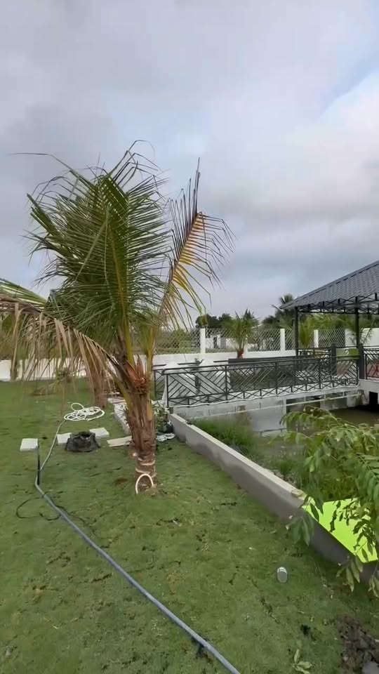 Nhà Vườn 1083m² Mặt Tiền Nguyễn Văn Vịnh, Long An - Giá 4.9 Tỷ