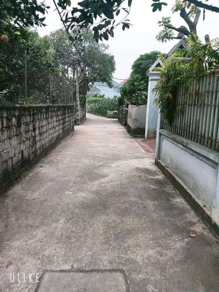 Đất nền Chương Dương, Thường Tín 135.3m² - Tiềm năng tăng giá vượt trội!