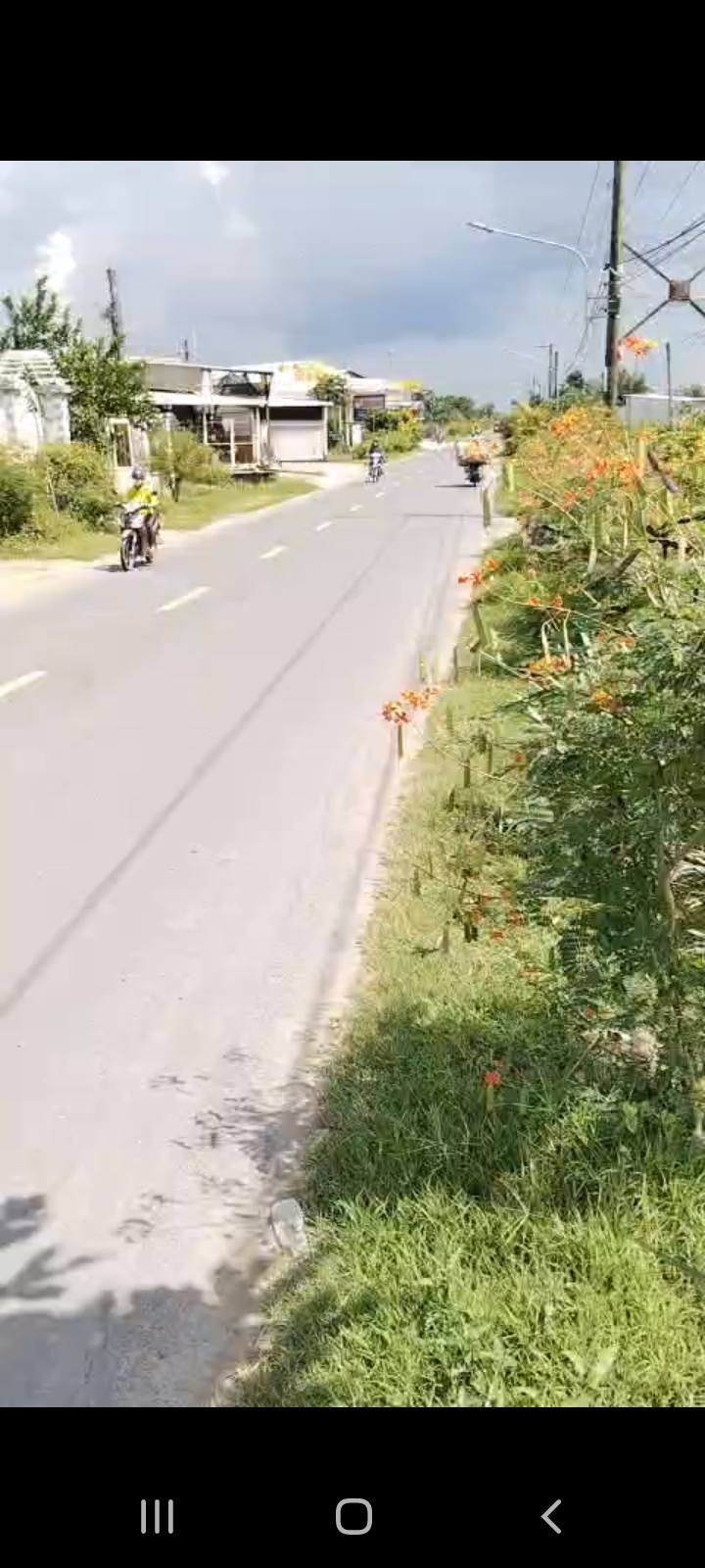 Bán Đất Trà Vinh 3000m² Mặt Tiền QL54 - Phù Hợp Kho Bãi, Nhà Xưởng