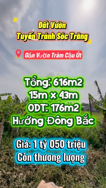 Đất Vườn Sóc Trăng 616m² - Gần Ngã Tư Dương Kỳ Hiệp, Sổ Đỏ