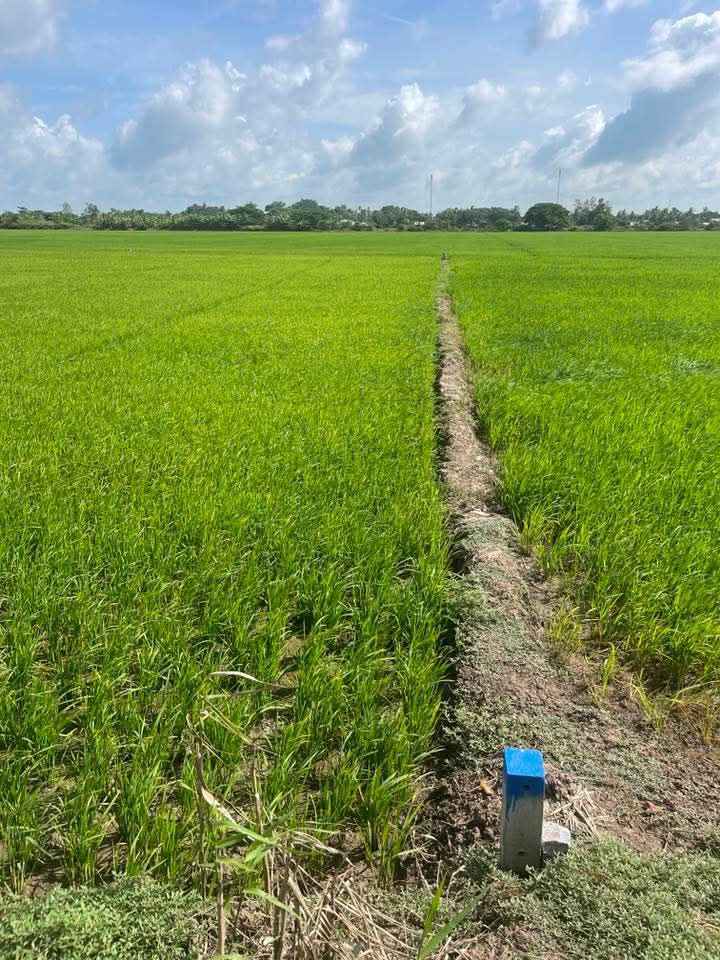 Đất nền Ấp Kokô Sóc Trăng 329m² - Sổ đỏ chính chủ, giá tốt!