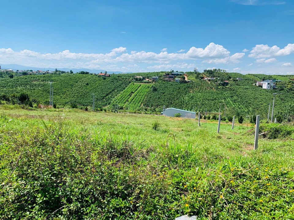 Đất Nền Lộc Quảng, Bảo Lâm - Giảm Sốc 550 Triệu, Chỉ Còn 850 Triệu