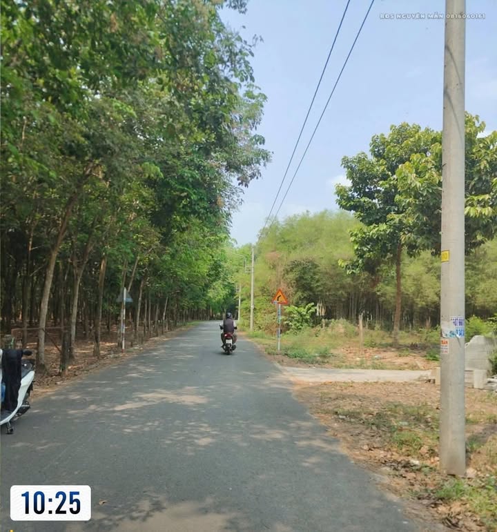 Đất Long Nguyên Tân Uyên 1500m² giá 1.99 tỷ - Sổ đỏ chính chủ!