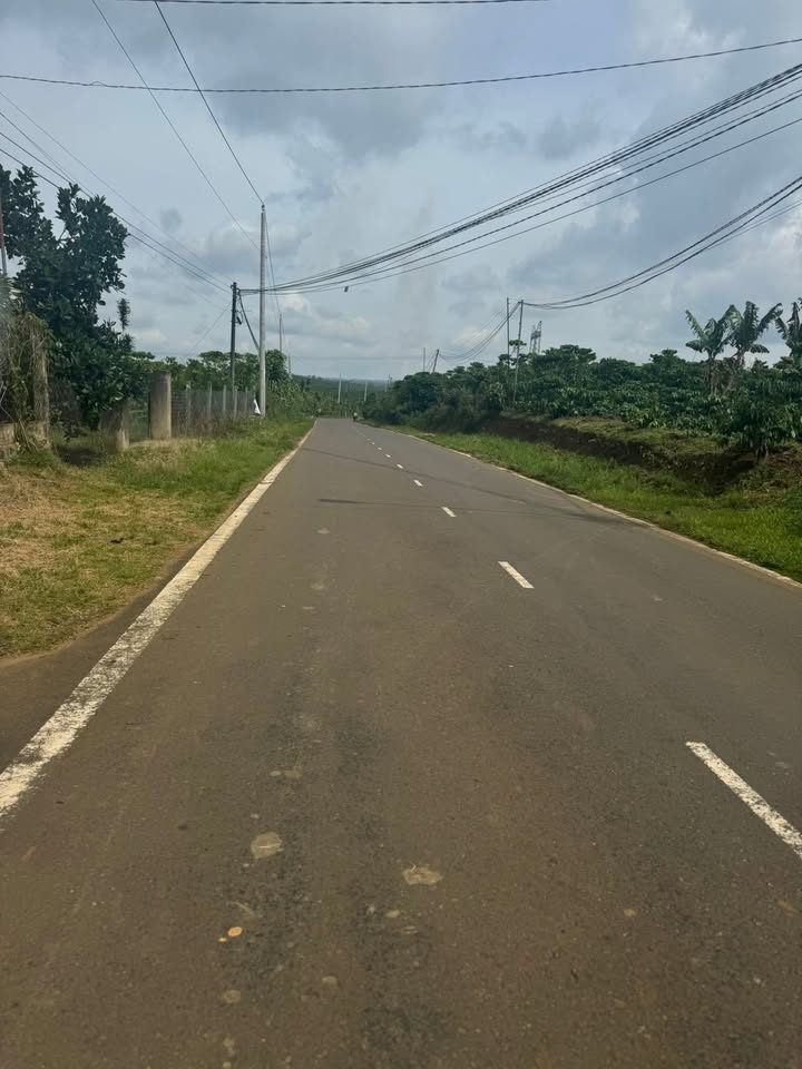 Bán Đất Vườn 14.000m² Mặt Tiền Đoàn Thị Điểm, Bảo Lộc - Giá Đầu Tư 950 Triệu/Sào