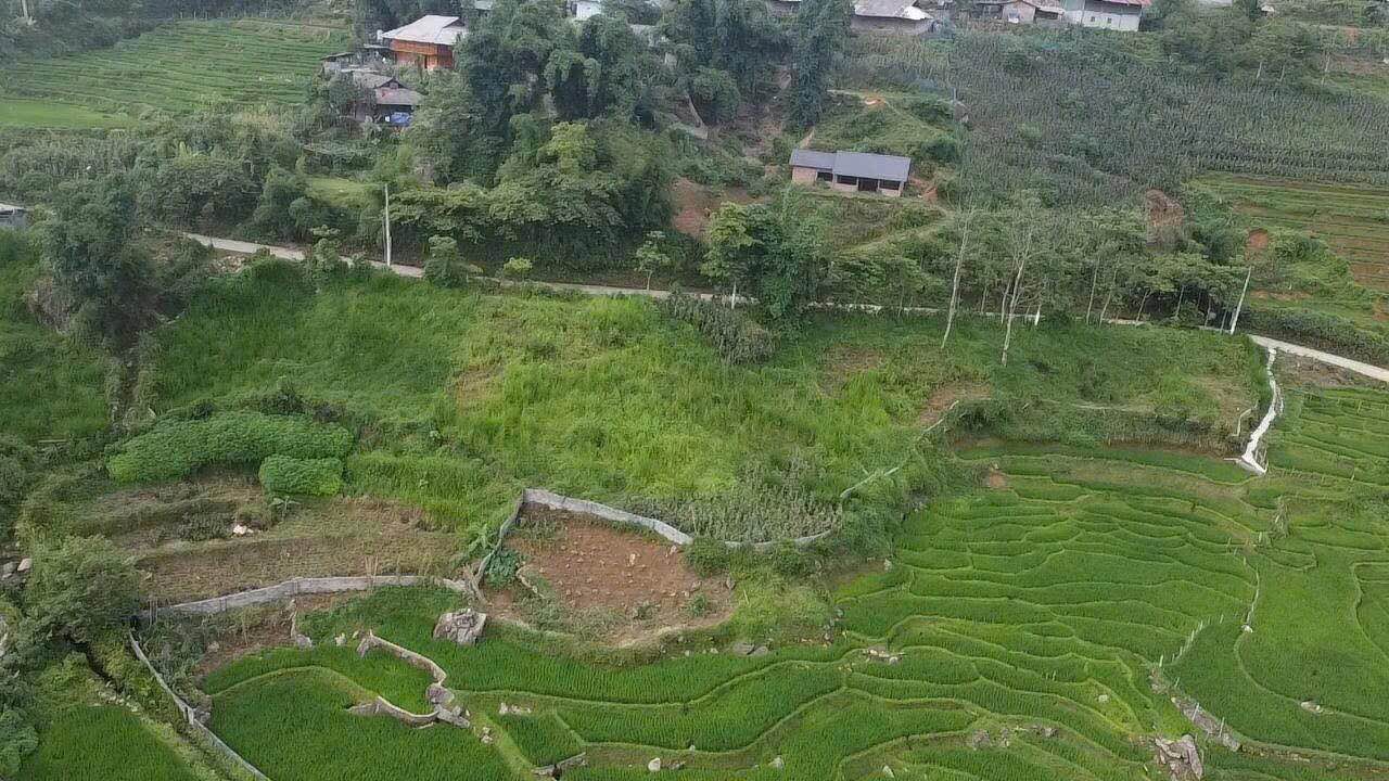 Đất nền Sa Pa 1.300m² giá 7,5 tỷ - Tiềm năng tăng giá vượt trội!