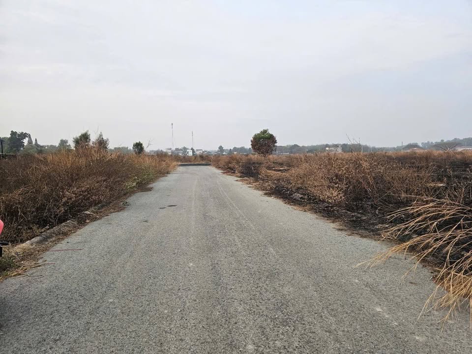 Đất nền Củ Chi 240m² Khu Tái Định Cư Phước Đông - Tiềm năng tăng giá!