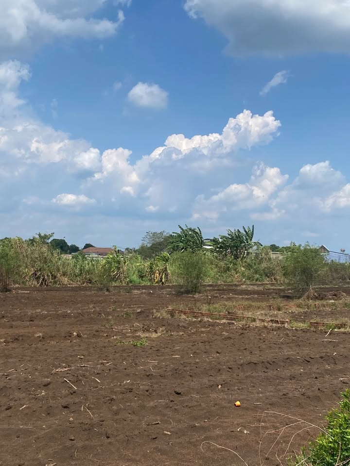 Đất nền Cẩm Đường Long Thành 12000m² giá 13.6 tỷ - Sổ đỏ chính chủ