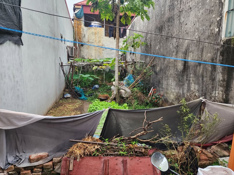 Đất Hiền Giang, Thường Tín 44.8m² - Sổ đỏ, Giá 3 Tỷ, Tiềm Năng Lớn