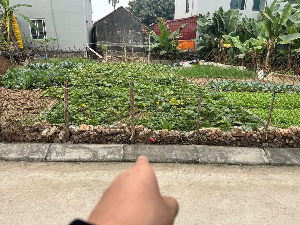 Đất nền Hợp Thanh, Mỹ Đức 81.9m² nhỉnh 1 tỷ - Sổ đỏ chính chủ!